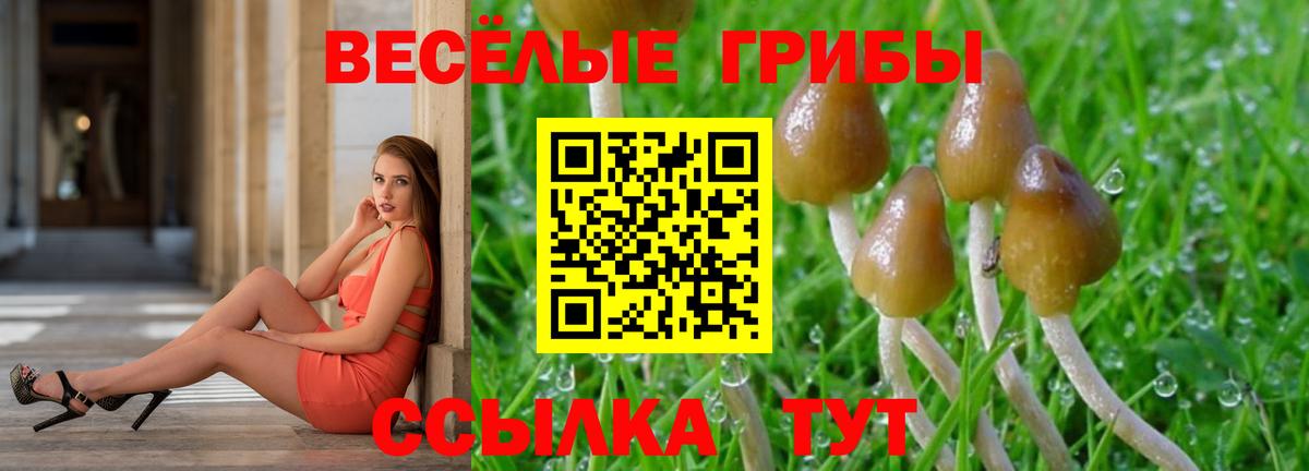 цена наркотик  Гудермес  Галлюциногенные грибы ЛСД 