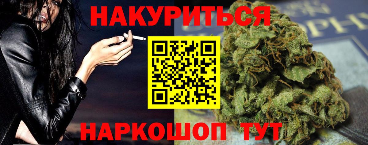 Конопля конопля Гудермес